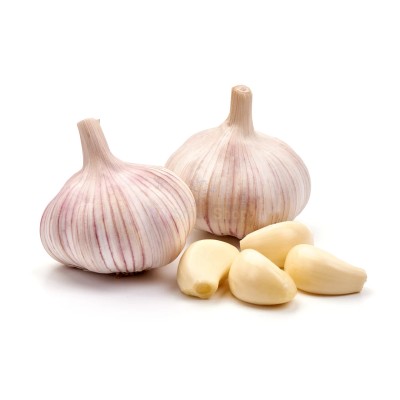 Чеснок крупный 1 кг - купить в Устиненках