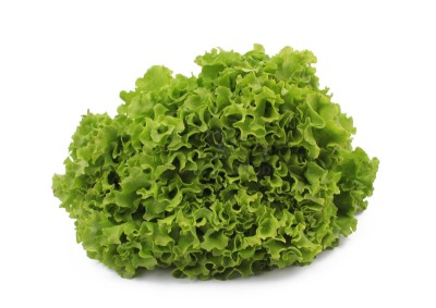 Салат айсберг 300 г - купить в Устиненках